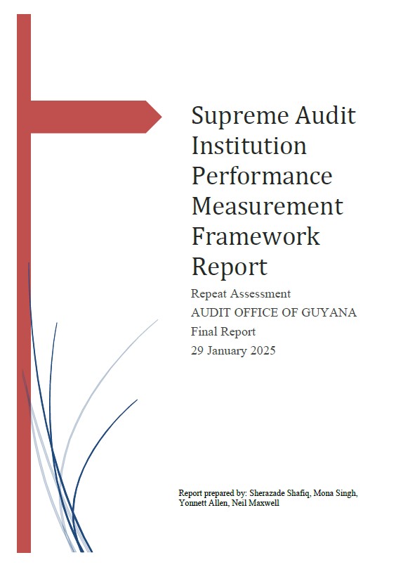 SAI PMF Report - 2025